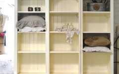 2023 Best of Shabby Chic Bookcases