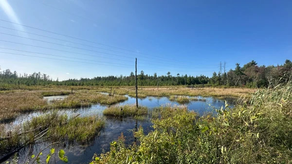 Paysage et biodiversité de la Grande Tourbière