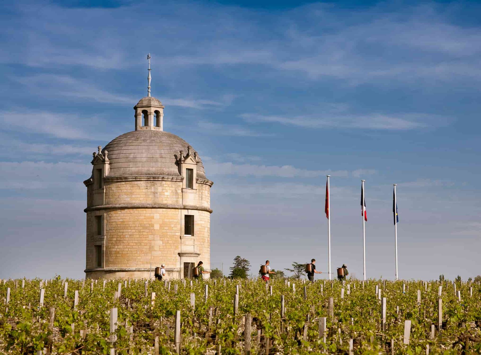 拉圖城堡Château Latour酒莊全景圖