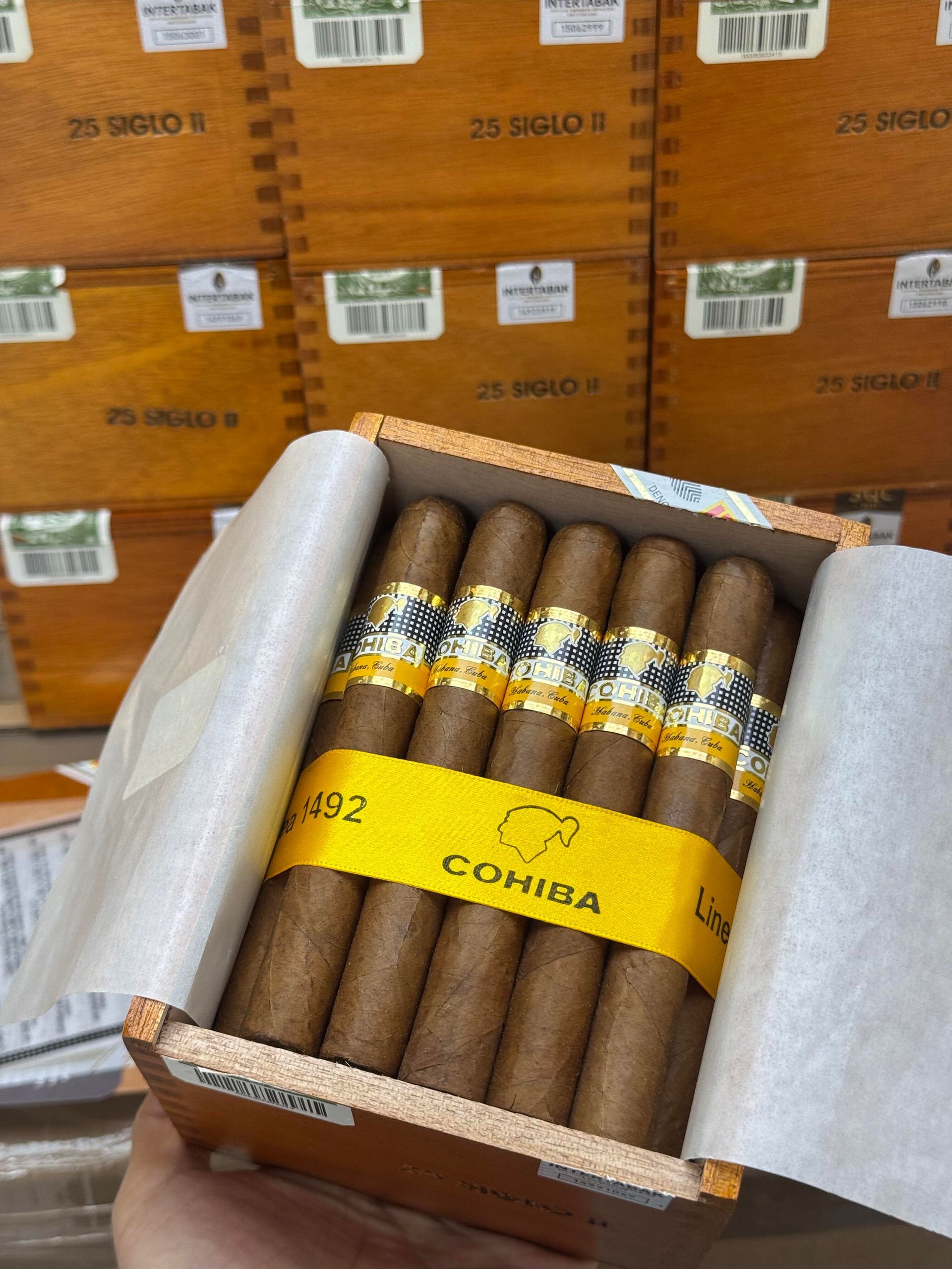 打開的 Cohiba Siglo VI 木盒,盒內四支雪茄,封條仍貼在盒側