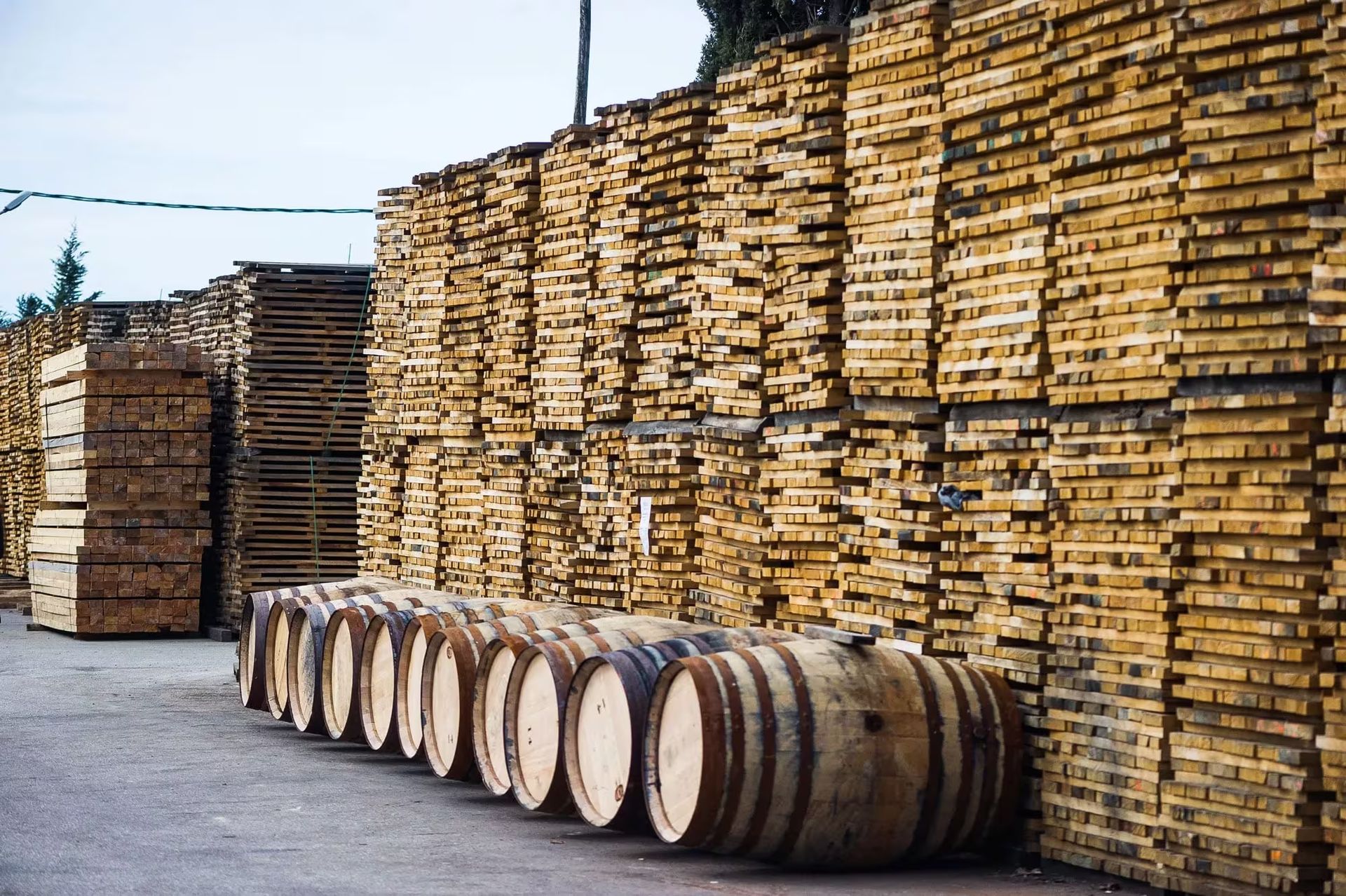 西班牙赫雷斯雪莉橡木桶