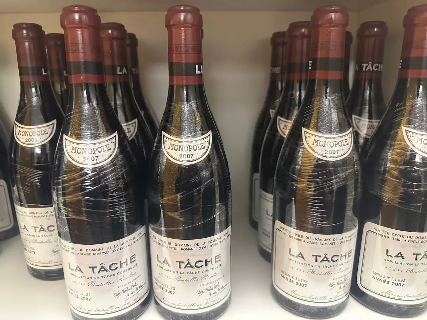 拉塔希與名園紅酒酒窖清理封面