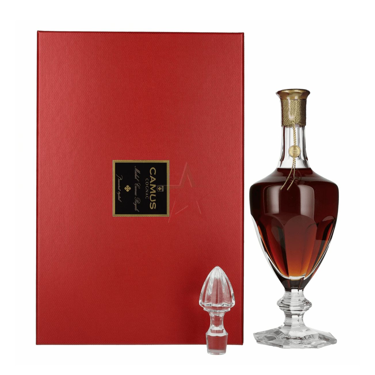 米歇爾卡慕 皇家