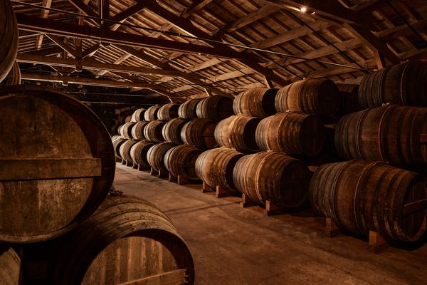 人頭馬酒窖中陳年的蒂爾肯橡木桶，象徵著路易十三百年陳釀的時間成本。