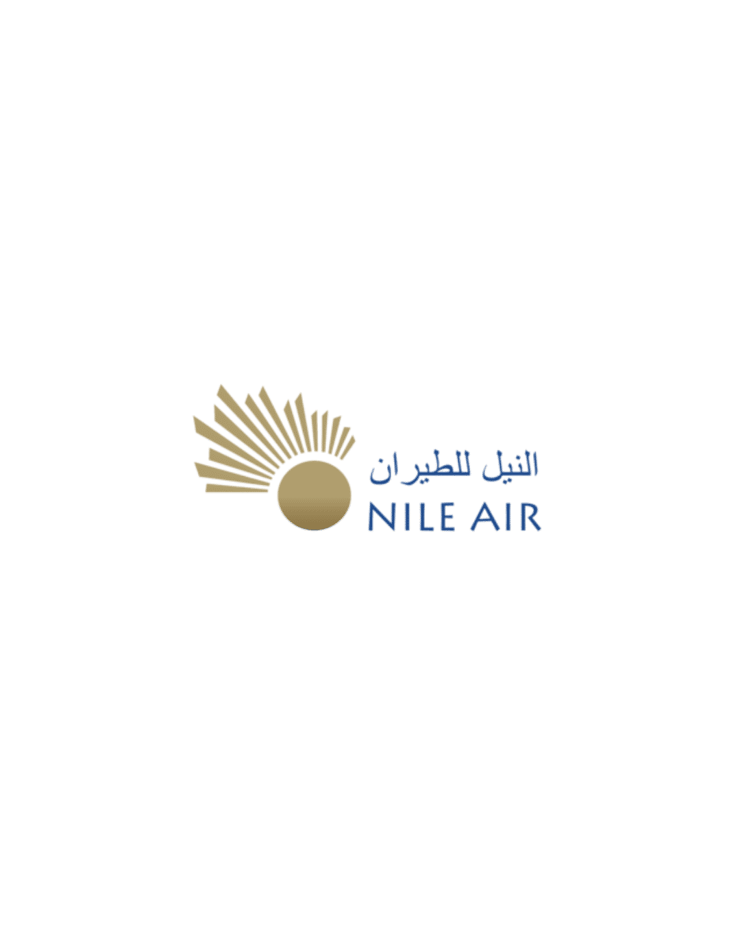 Logo for NP