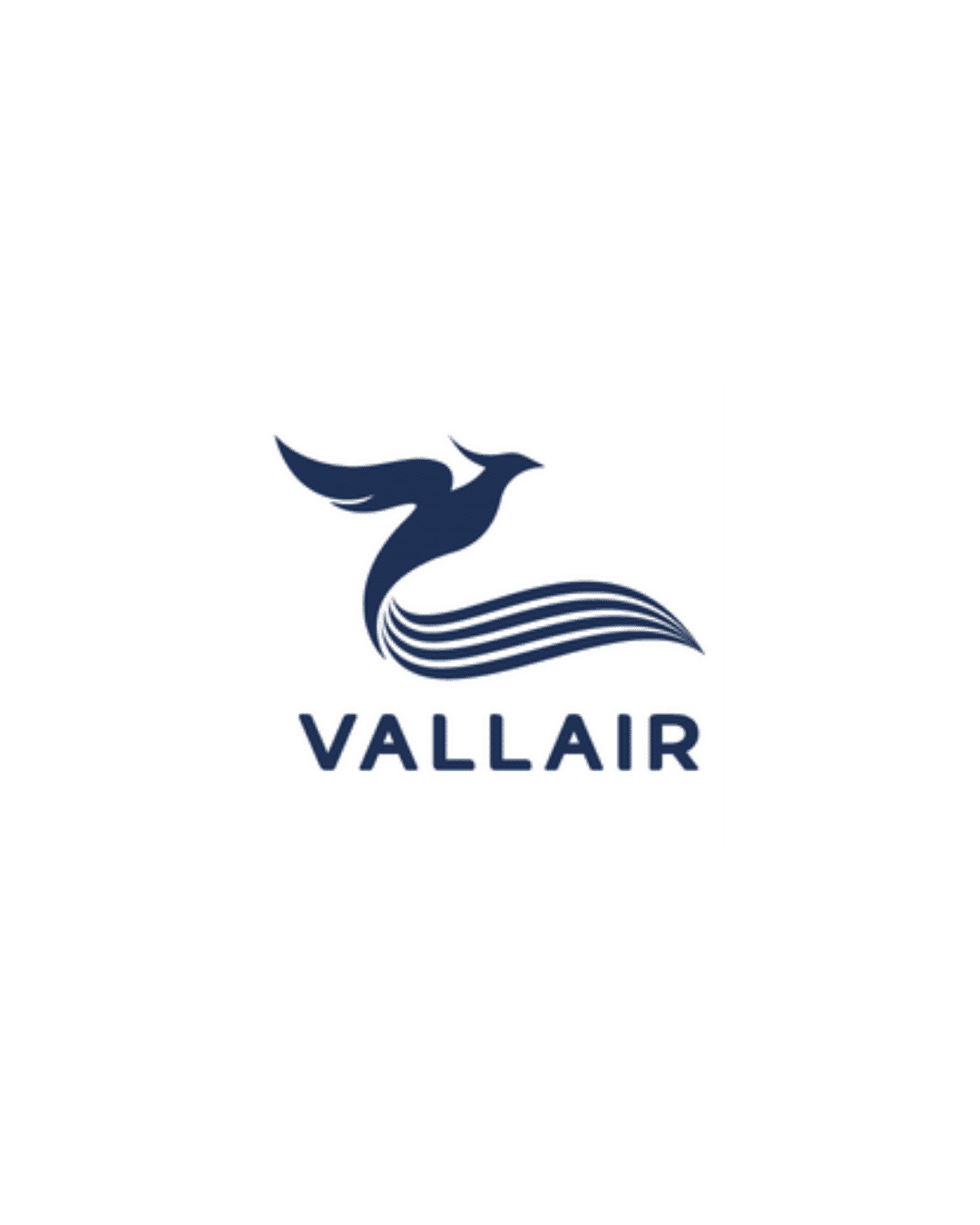 Logo for VVV
