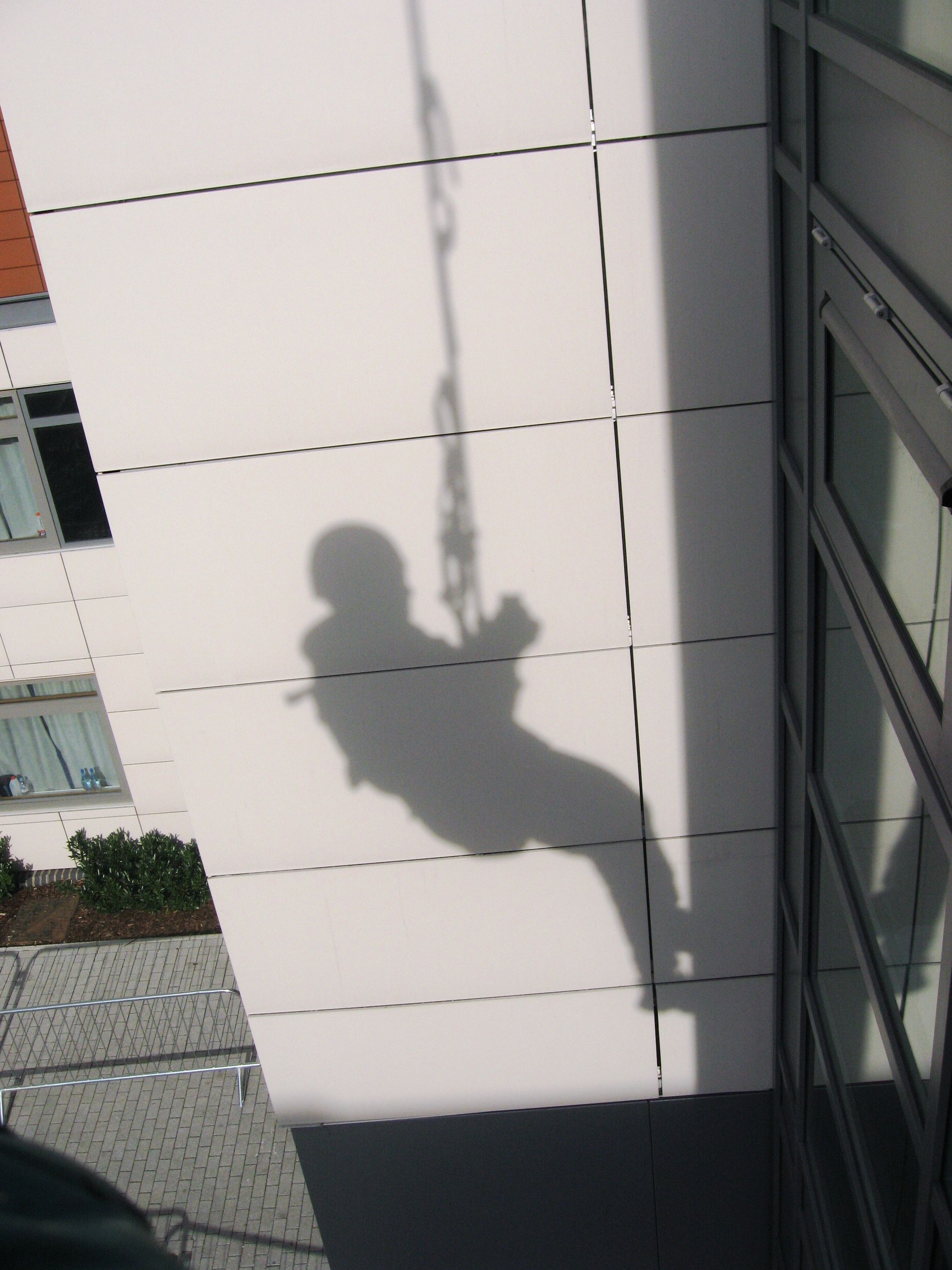 Survey Silhouette
