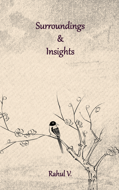 Surroundings & Insights