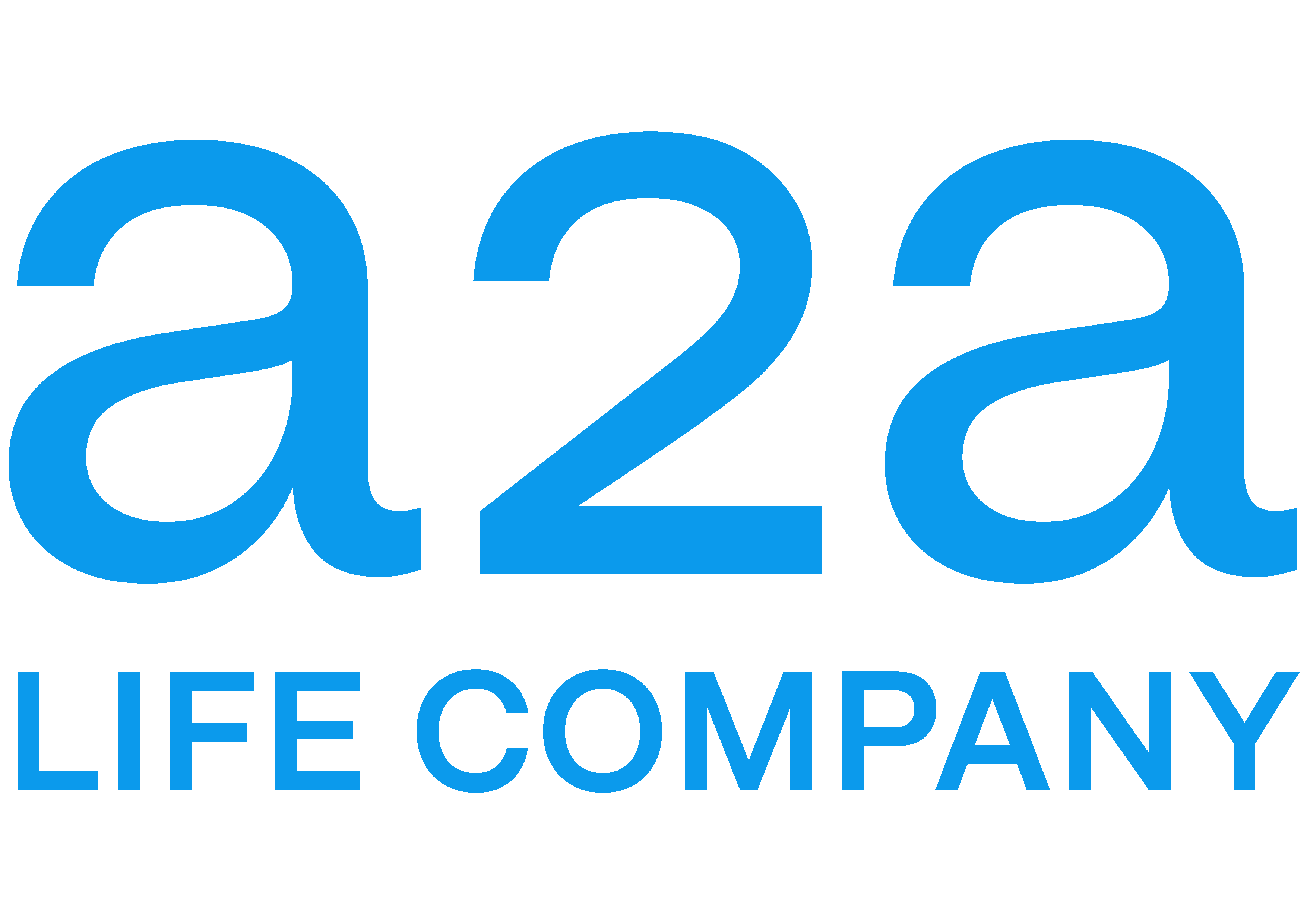 A2A - Partner strategico