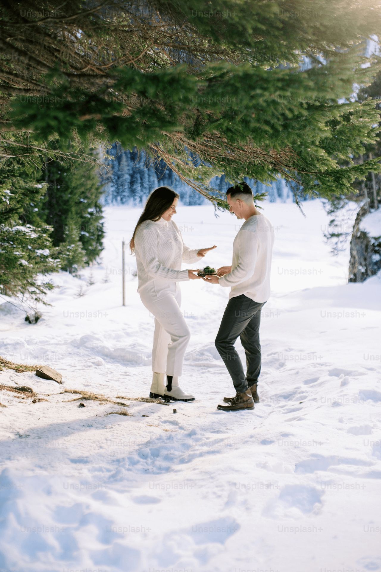 What is an elopement?