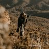 Wedding photographer Jason Corroto