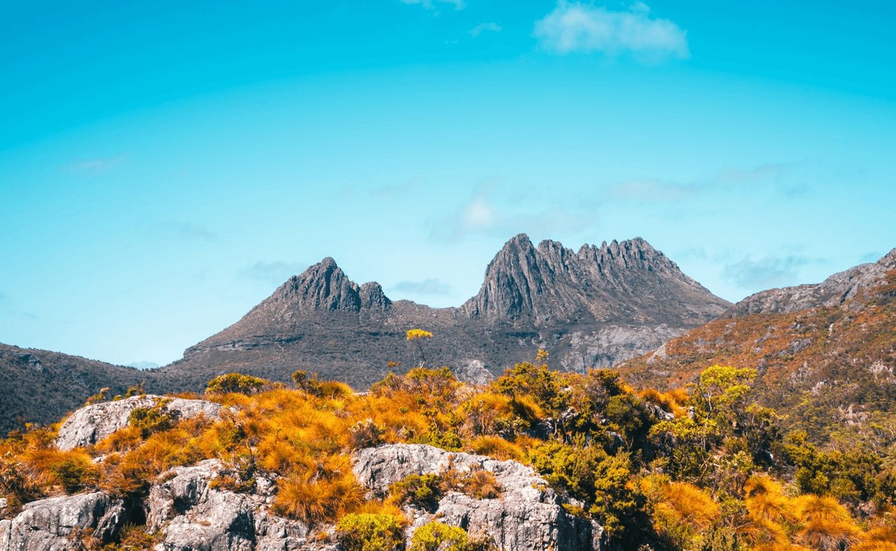 About The Tasmanian Weddings