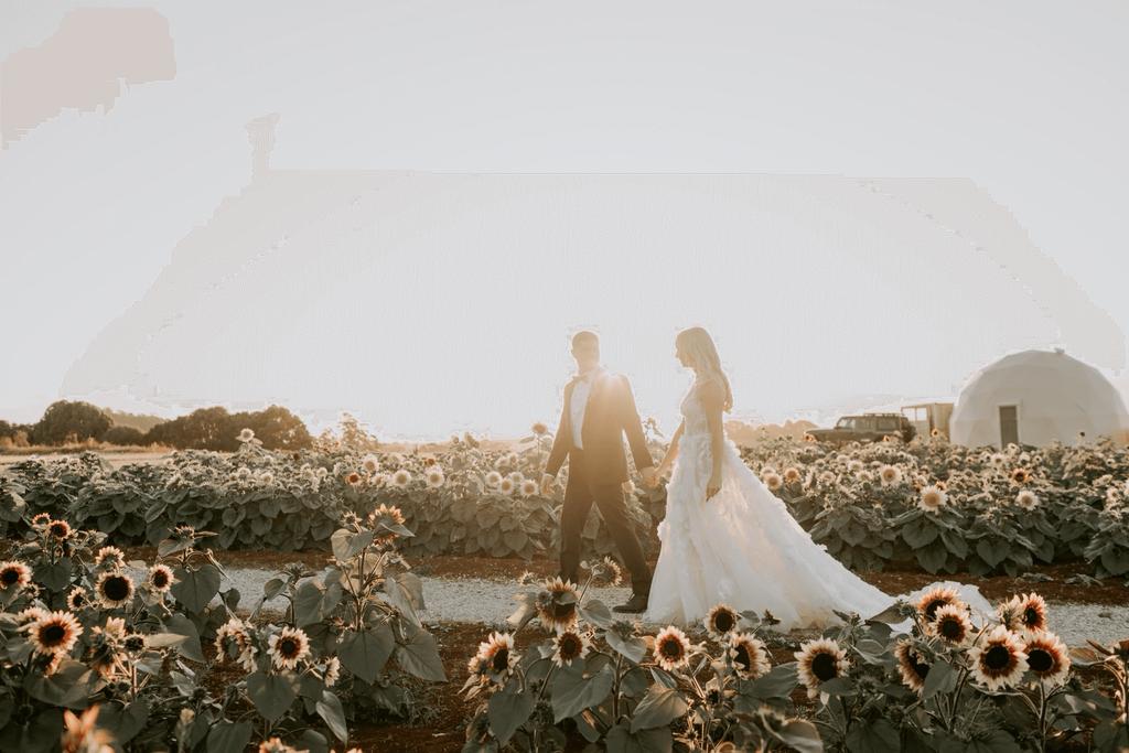 Hayley and Steve wedding portraits at Penguin’s Mount Gnomnom Farm ⌘