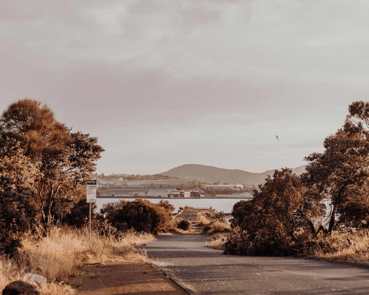 Photo of the remains of the temporary bridge at Risdon Cove. Photographed in 2025 by Josh Withers. ⌘