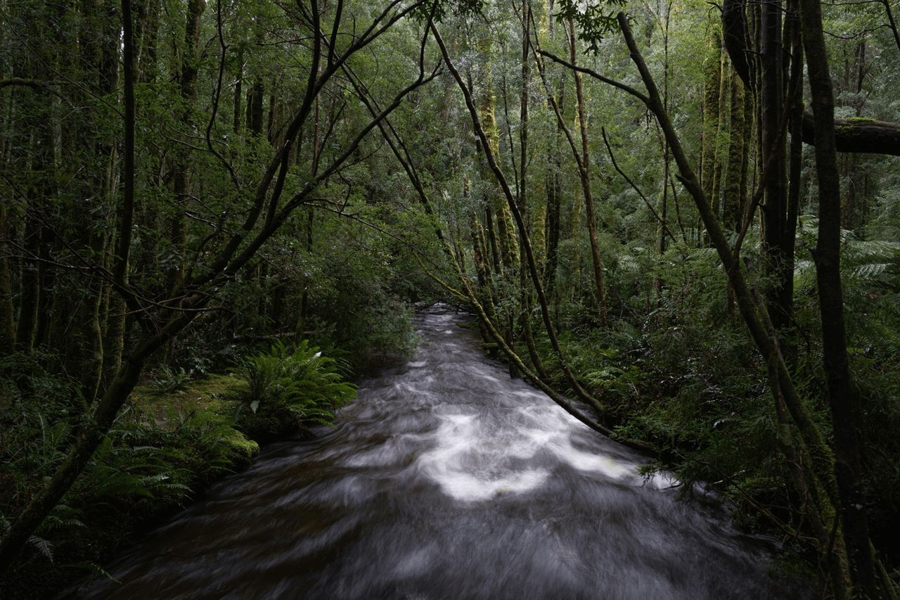 Why Tasmania Should Be Your Wedding Destination (Even If You're Not A Local)