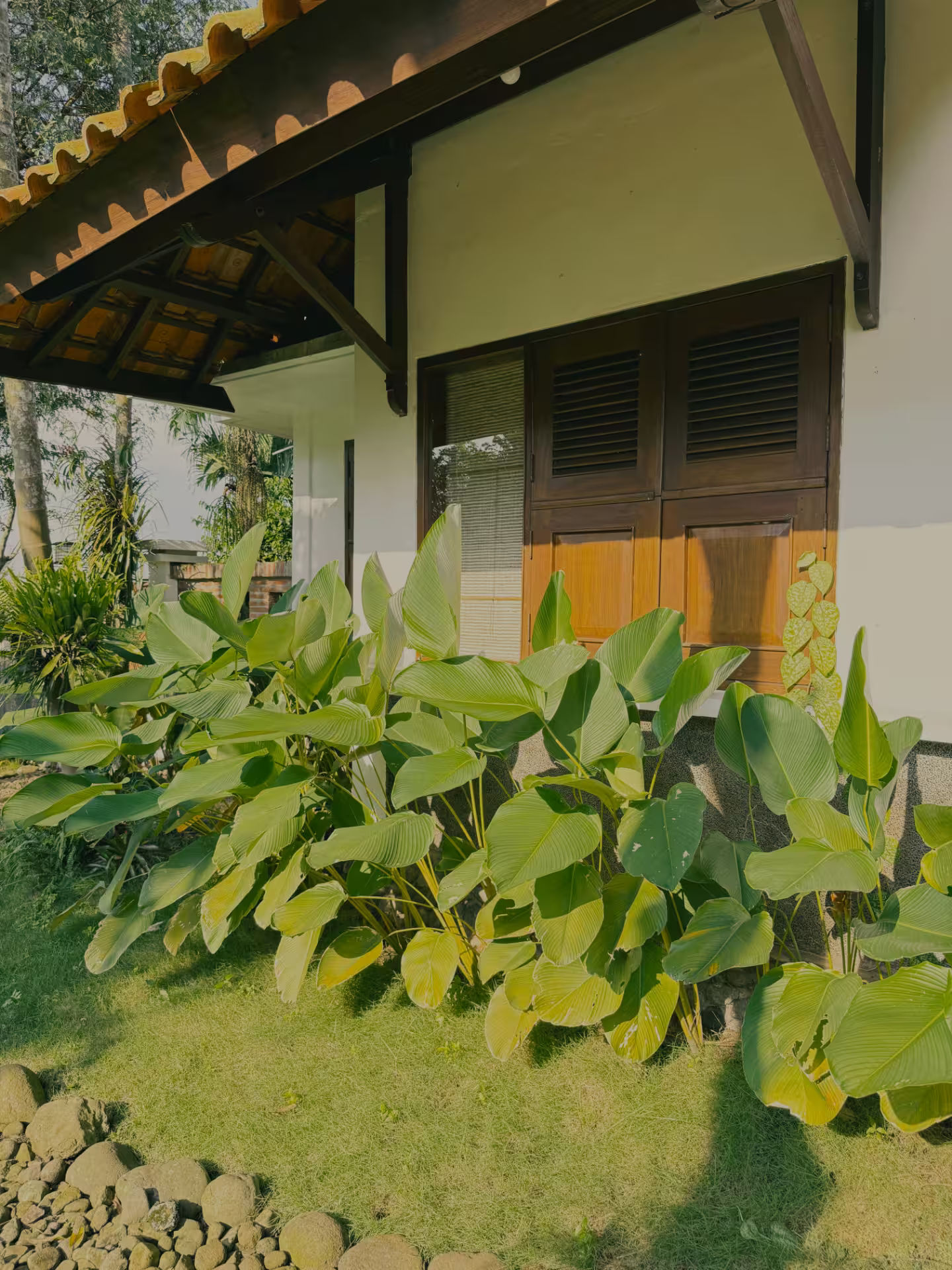 Jendela kamar dirumahdelima menghadap taman tropis yang tenang