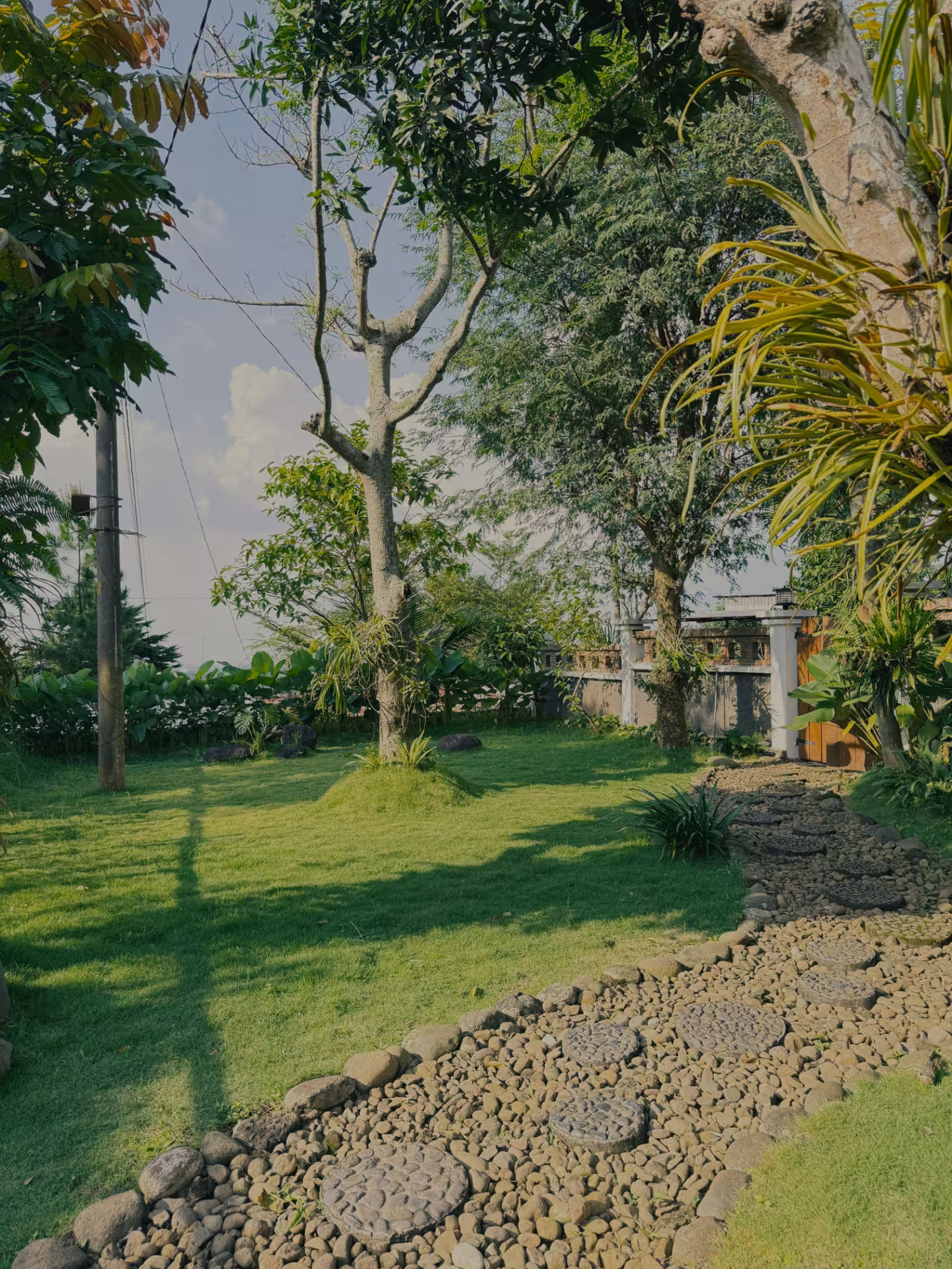 Area taman rumput terbuka dirumahdelima yang luas dan alami