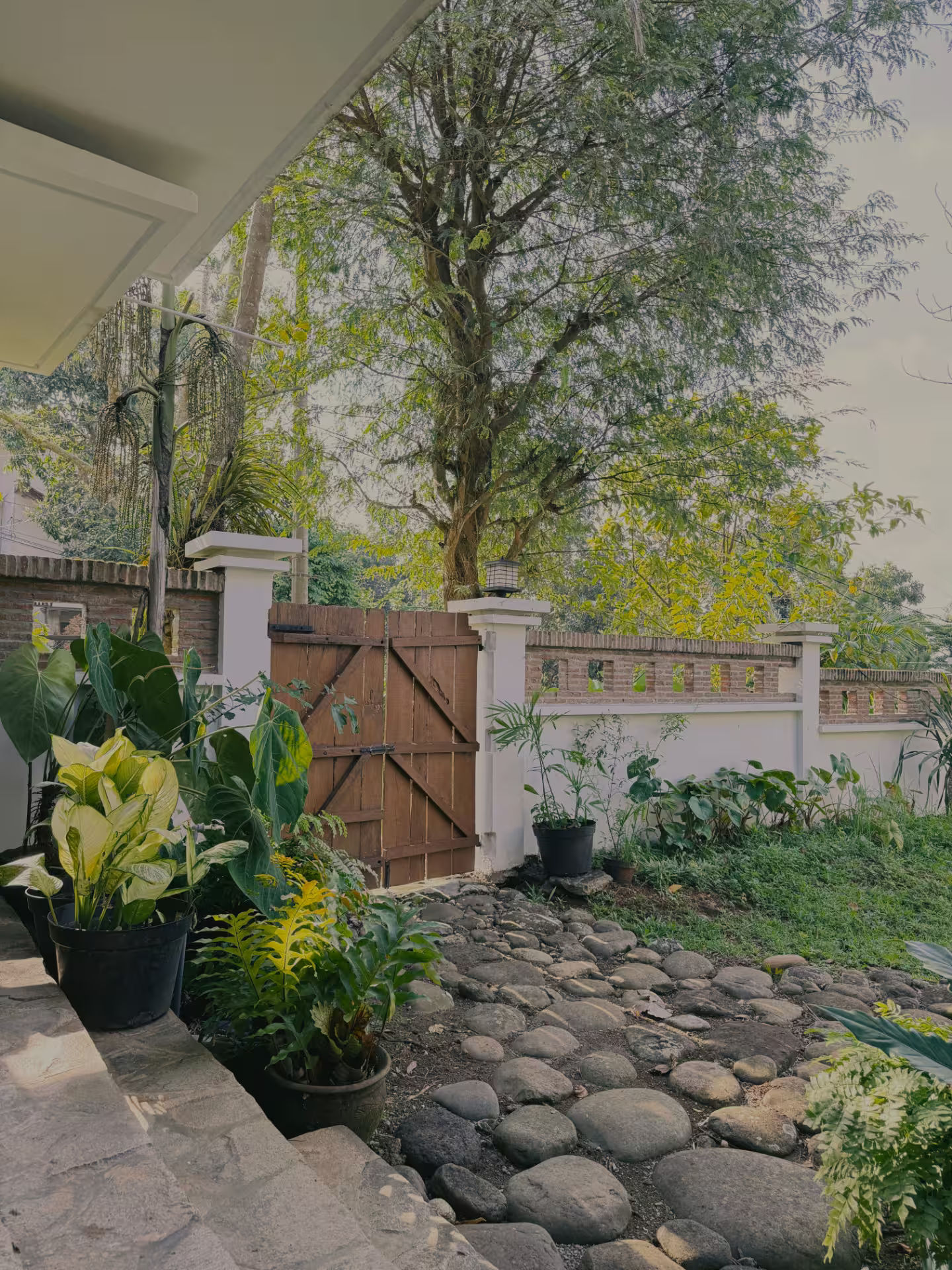 Perpaduan material batu dan elemen alam di taman dirumahdelima