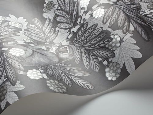 Acacia - 109/11055