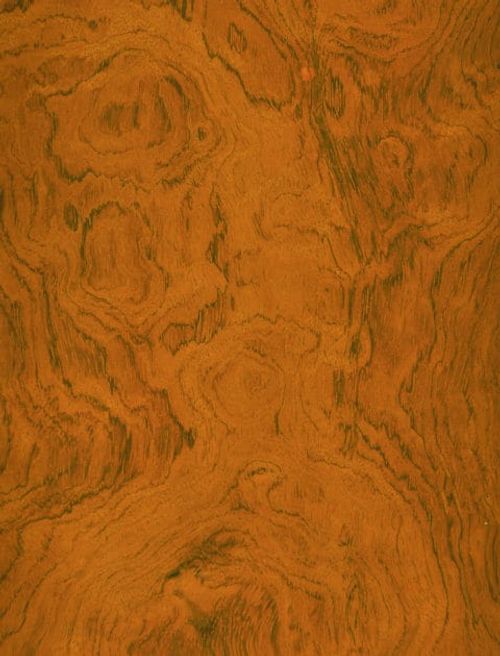 Bubinga