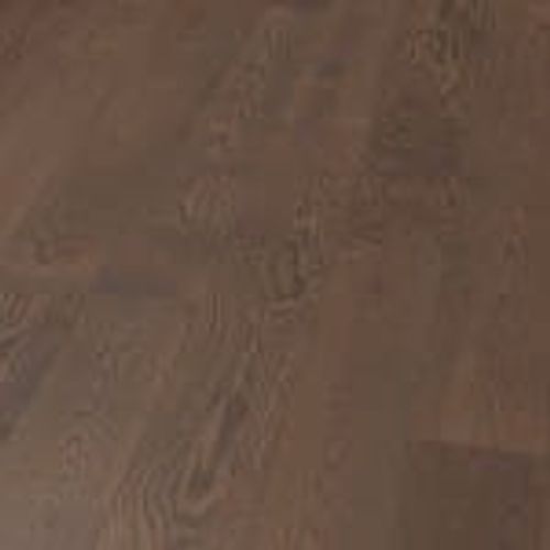 SPC Black Oiled Close Up