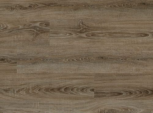 Alpine Ash Vv022-00806