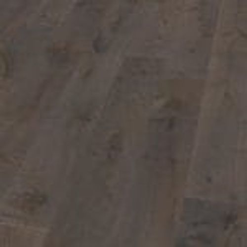 Corsica Close Up