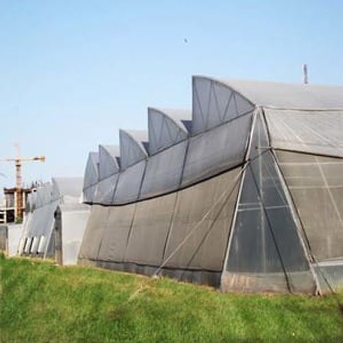 Poly House Natural Ventilated