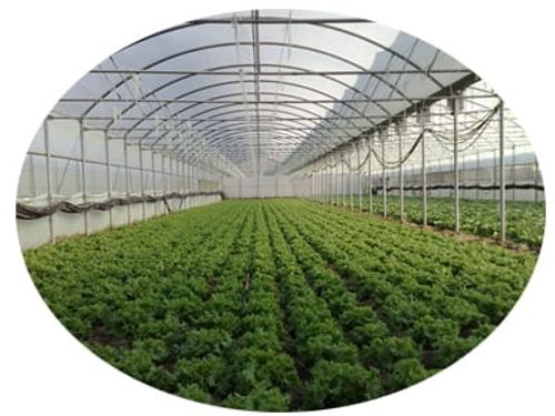 Hi- Tech Polycarbonate Green House