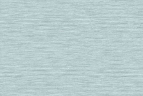 Buckram -  Rw509