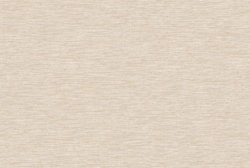 Buckram -  Rw503