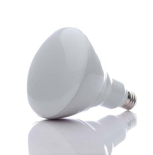 Br Bulb