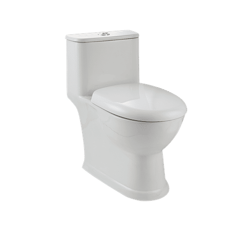 FLORA P One Piece Water Closet