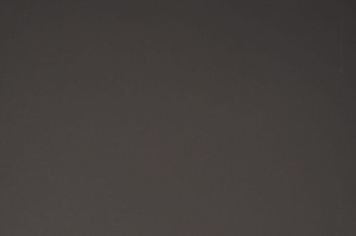 Aster Grey - 8108