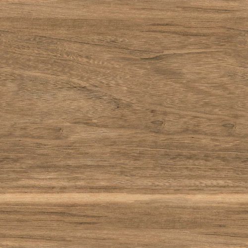Almond Brown Plus