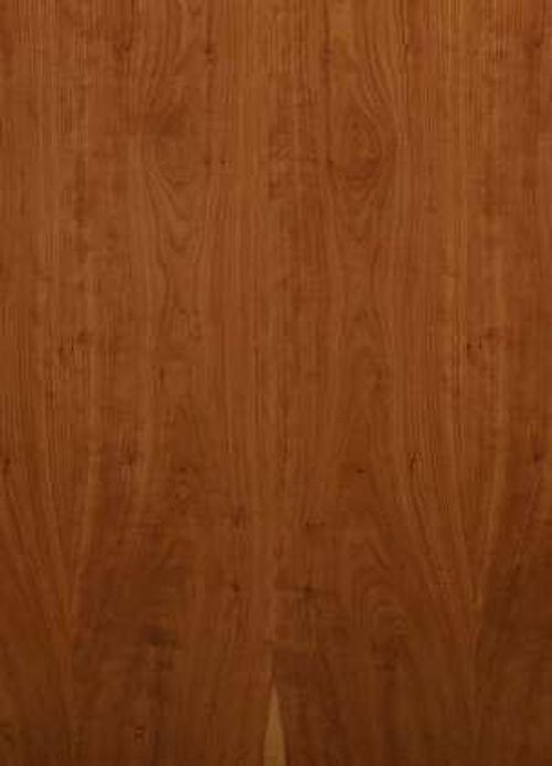 American Cherry