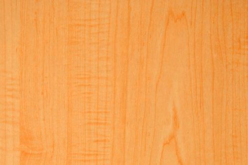 Albreta Maple - 7305