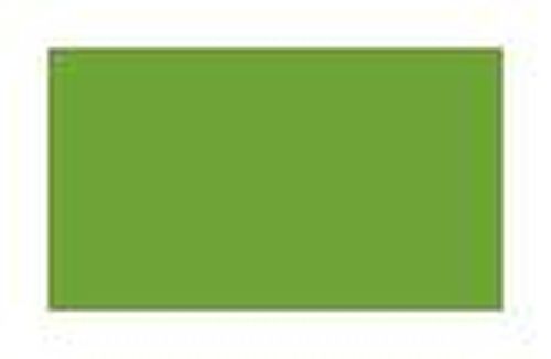 1013 SF Solid Color Light Green 8 ft x 4 ft Decorative Laminate - 0.82 mm