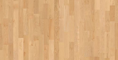 Canadian Hard Maple