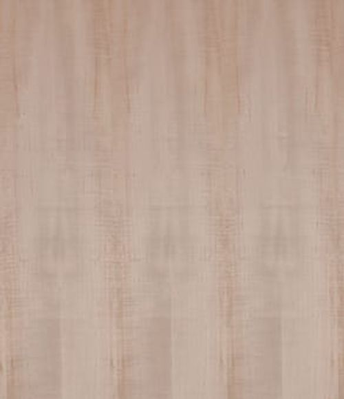 American Maple 