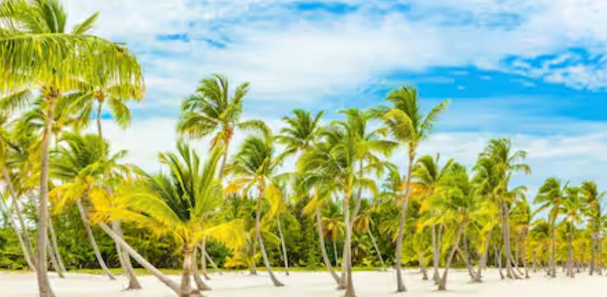 Boston to Punta Cana private transportation and travel