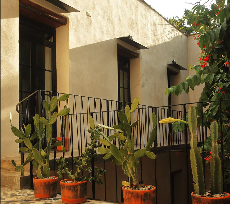Patios interiores de Fixie Lofts Slow Life Villa en la Zona Colonial, mostrando un balcón con barandillas de hierro negro, macetas de terracota con cactus y una arquitectura de estilo colonial.