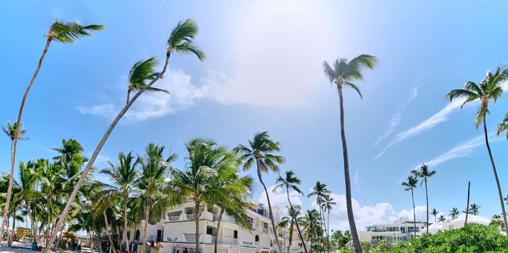View of the tall palm trees and the facade of the Flor del Mar Condo Hotel in Punta Cana under a sunny sky