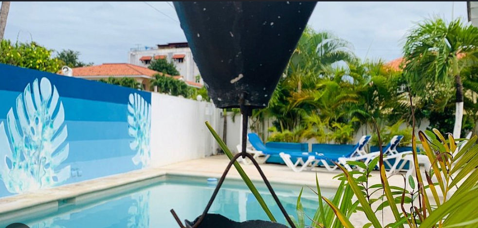 Vista exterior brillante y soleada de una casa blanca de dos pisos con detalles en azul, con una piscina privada rodeada de palmeras frondosas y camastros de descanso
