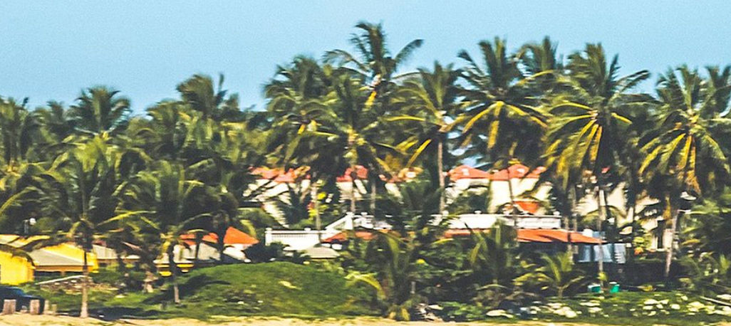 Scenic view of a beachfront apartment complex surrounded by dense palm trees under a clear sky