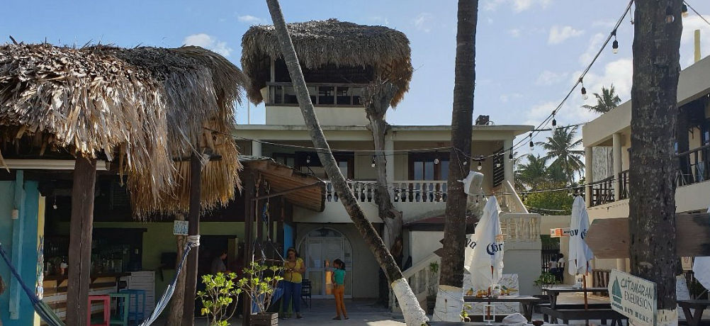Outdoor courtyard and thatched-roof bar area at Capri Beach House, featuring palm trees, string lights, and seating areas under a sunny sky