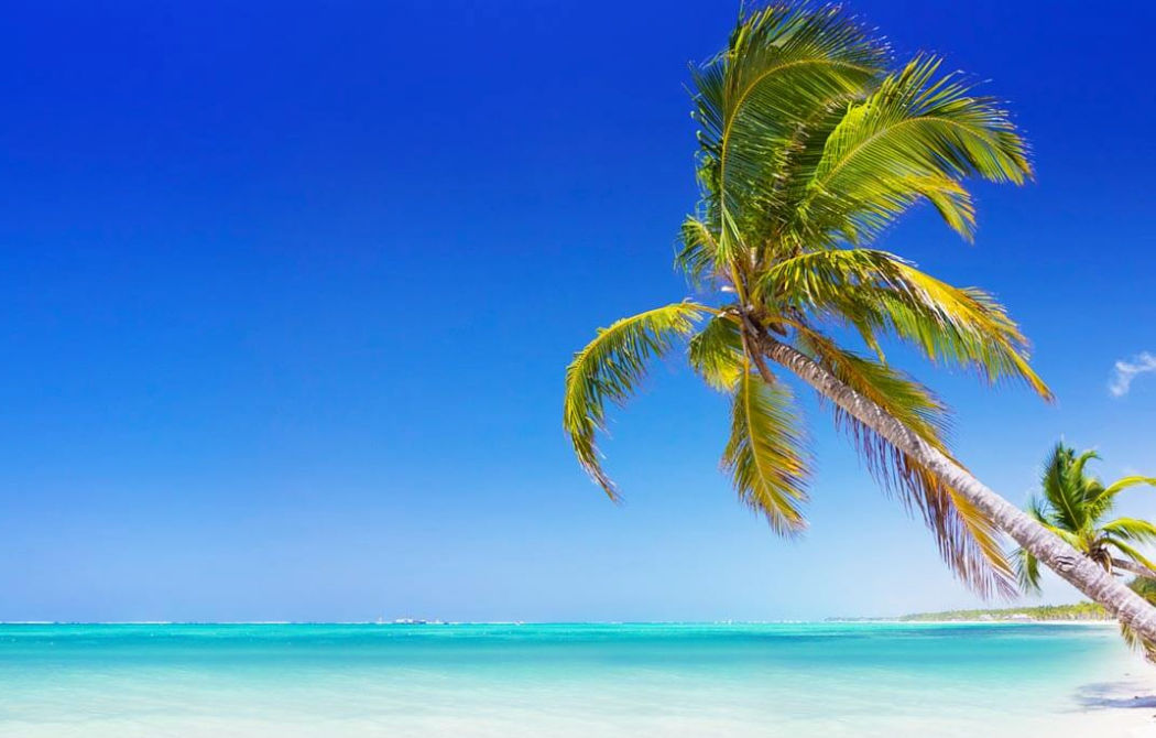 Vuelo a Punta Cana
