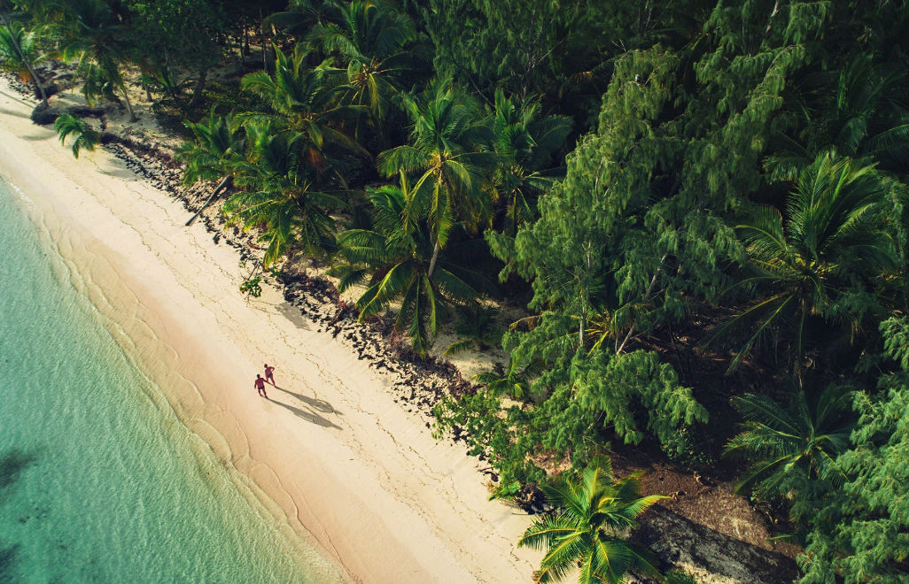 Vuelos a Punta Cana y transporte privado en Republica Dominicana