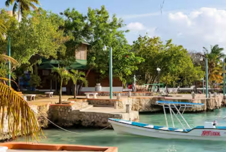 vuelos punta cana