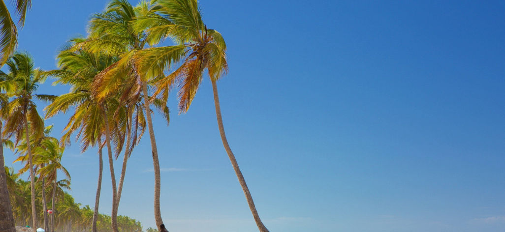 Imagen de República Dominicana